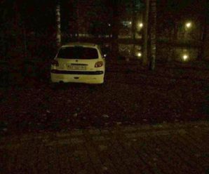 В Івано-Франківську упіймали «бидло», яке своїм автомобілем каталося по міському парку (фото)