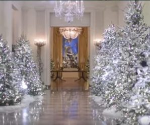 Перша леді показала, як Білий дім прикрасили до Різдва (відео)