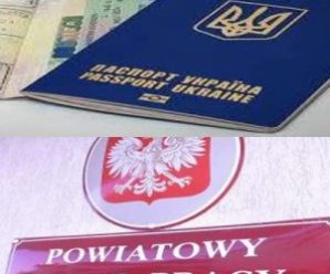 Польща скасувала робочі візи для українців: новий порядок працевлаштування