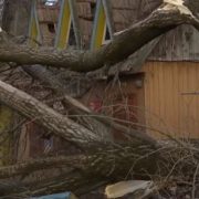 Позривав дахи, повикорчовував дерева: раптовий буревій наробив лиха на Прикарпатті(відео)