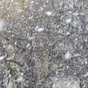 На Прикарпатті штормове попередження: очікується сильний сніг