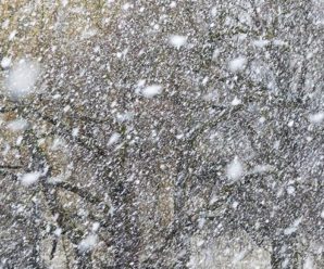 На Прикарпатті штормове попередження: очікується сильний сніг