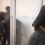 “Жесть! Парасюк побив поліцейського”: Народний депутат у суді влаштував бійку(ВІДЕО)