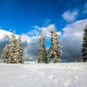 Те чого так бракує на Різдво! Засніжені Карпати: франківець поділився зимовими світлинами гори Хом’як. ФОТО
