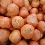 “Дбають про якість”: на Долинщині продають гнилі фрукти. ФОТО