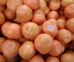 “Дбають про якість”: на Долинщині продають гнилі фрукти. ФОТО