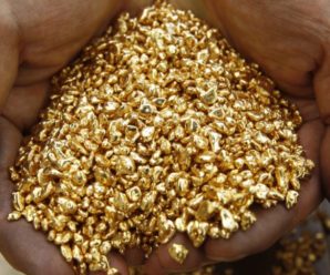 “Золота жила”: в Україні виявили великі поклади золота