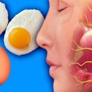 Що станеться з вашим тілом, якщо щодня з’їдати по 3 яйця(відео)