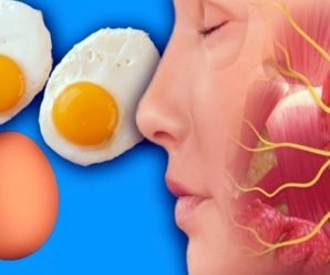 Що станеться з вашим тілом, якщо щодня з’їдати по 3 яйця(відео)