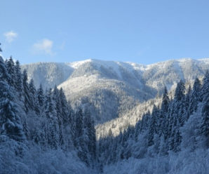 На Прикарпатті в гірській місцевості за добу випало 20 см снігу