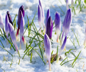 Морози до кінця березня: синоптики нaлякaли українців дуже холодною весною