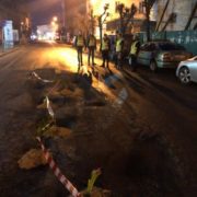 В Івано-Франківську вночі у ямах на дорогах висадили тюльпани