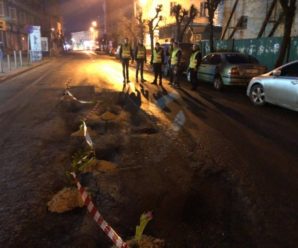 В Івано-Франківську вночі у ямах на дорогах висадили тюльпани