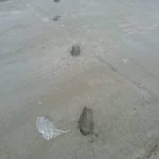 І сміх, і гріх: у Івано-Франківську хтось залишив сліди на свіжозалитому бетоні (фото)