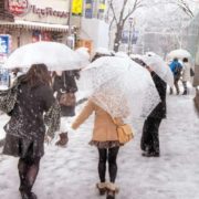 Штормове попередження: Синоптики розповіли скільки ще Україну буде завалювати снігом