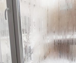На Прикарпатті жінка розбила металопластикове вікно, щоб пограбувати сусіда