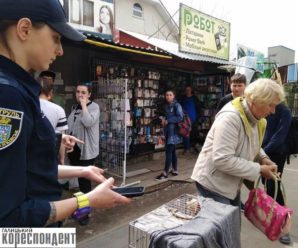 Цинічний бізнес на чотирилапих: у Франківську викликали поліцію до жінки, яка продає хворих собак (фото + відео)