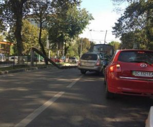 У Львові електроопора впала на дорогу: є жертви