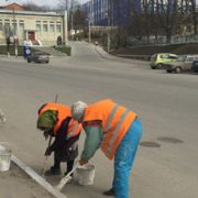 Ніякої побілки бордюрів та стовпів: Франківськ перший ініціює офіційний штраф