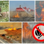 Рятувальники: на Прикарпатті склалася тривожна ситуація з пожежами сухої трави