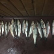 На Косівщині поліція затримала нічних рибалок за незаконний вилов риби