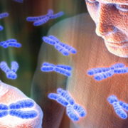 Вчені виявили в людському організмі новий орган