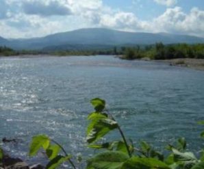 Двоє дітей впaли в річку і зникли під час спроби незаконного перетину кордону на Закарпатті