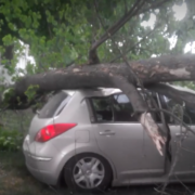 У Івано-Франківську на авто з двома людьми в салоні впало дерево