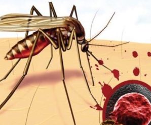 В Україні 11 людей захворіли на малярію, двоє ­померли