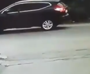Не виходячи зі свого авто, нелюд застрелив собаку (відео 18+)