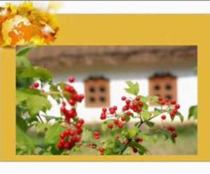 Символи України – народні та державні обереги