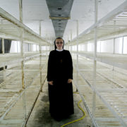 Стартап, сестро. На Прикарпатті монахині вирощують шампіньйони, роблять макарони та встановлюють сонячні колектори (фото)