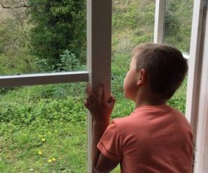 Пустощі мало не закінчилися трагедією: на Галичині 8-річний хлопчик ледь не вбив людину