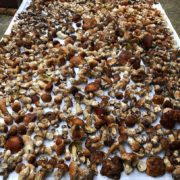 На Івано-Франківщині рекорди збору урожаю грибів б’ються щодня. ФОТО/ВІДЕО
