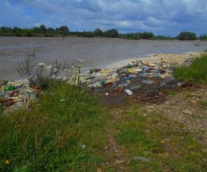 Велика вода винесла на берег Лімниці сотні пластикових пляшок. ФОТО