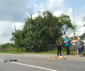 На Львівщині п’яний депутат зачепив маршрутку, вилетів на узбіччя і вбив велосипедистку