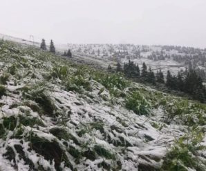 У Карпатах знову випав сніг (ФОТО,ВІДЕО)
