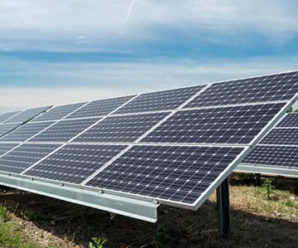 Фірми помічника депутата отримали у Франківську 50 гектарів під сонячні електростанції