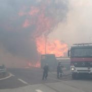 У Греції масштабна лісова пожежа, люди тікають з домівок
