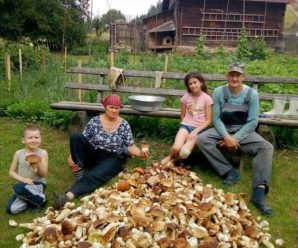 За один вихід у ліс родина з Путильщини назбирала 92 кг грибів