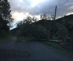 На Франківщині через дощ та шквалистий вітер повалено понад десяток дерев, пошкоджено лінії електропостачання. ВІДЕО