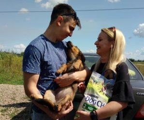 Молодята з Франківська витратили весільні гроші на корм для безпритульних тварин (ФОТО)