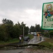 На Прикарпатті дорогу перекрили поваленим деревом (ФОТО)