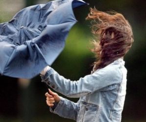 На Прикарпатті синоптики попереджають про штормове посилення вітру