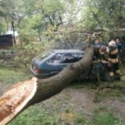 У Тисмениці автівка в’їхала в дерево. Є потерпілі