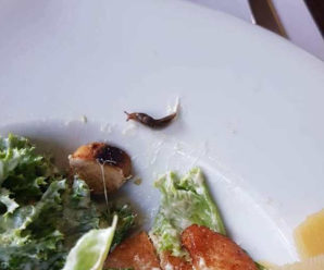 Равлик в салаті. Франківчани продовжують знаходити “сюрпризи” в їжі (фото)