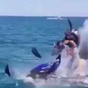Ця розвага може стати смертельною: у Чорному морі гідроцикл з дитиною злетів на повітря (відео)