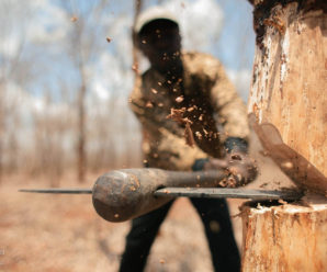 Прикарпатський лісгосп заплатить чотири мільйони гривень за незаконну рубку лісу
