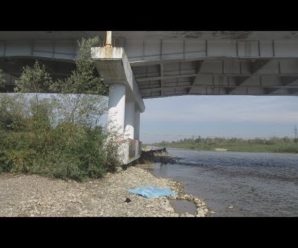 Самогубство у Коломиї: з Вербізького мосту стрибнув 46-річний чоловік (відео)
