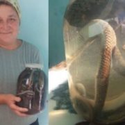 Цілюща отpута: Жінка з Верховинщини лікує людей зміїною настоянкою